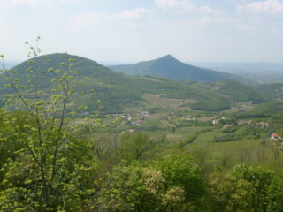 Particolare_dei_Colli_Euganei