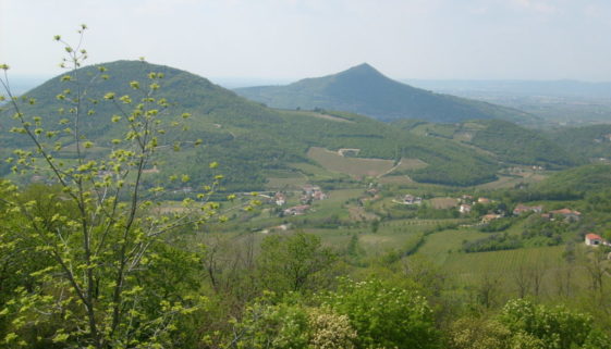 Particolare_dei_Colli_Euganei