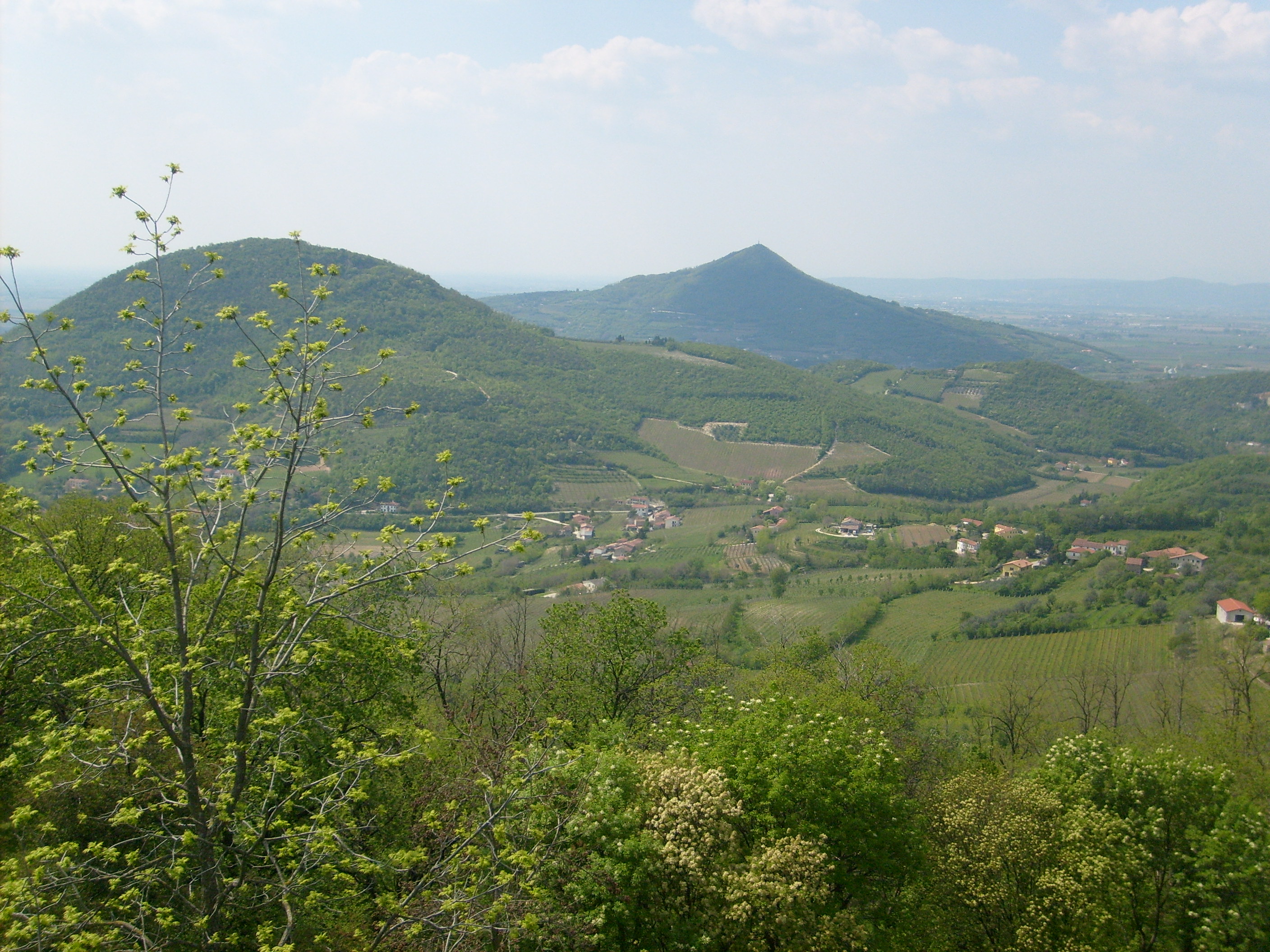 Particolare_dei_Colli_Euganei
